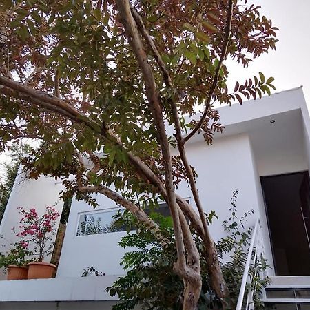 הוילה Río Verde Casa Mango 3 Amplio Departamento מראה חיצוני תמונה