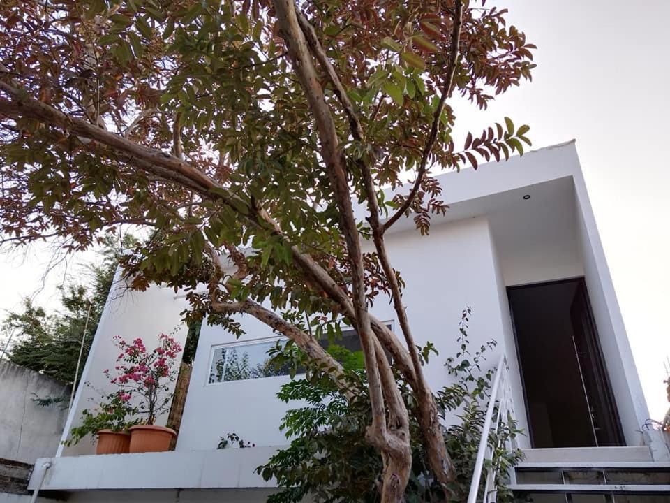 הוילה Río Verde Casa Mango 3 Amplio Departamento מראה חיצוני תמונה